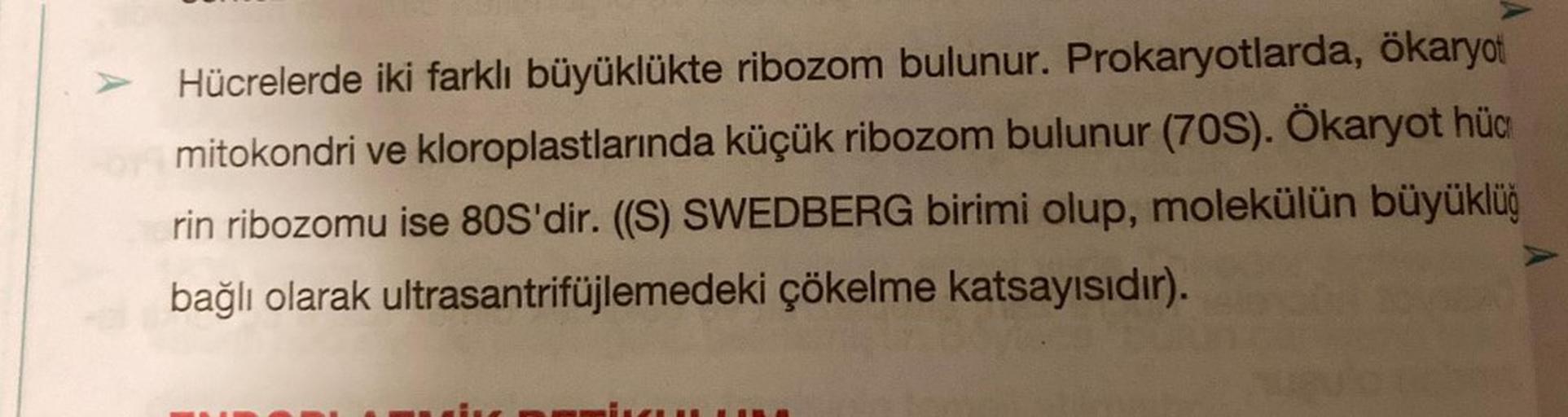 Hücrelerde iki farklı büyüklükte ribozom bulunur. Prokaryotlarda, ökaryot
Formitokondri ve kloroplastlarında küçük ribozom bulunur (70S). Ökaryot hüc
rin ribozomu ise 80S'dir. ((S) SWEDBERG birimi olup, molekülün büyüklüğ
bağlı olarak ultrasantrifüjlemedek