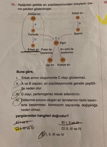 15. Aşağıdaki şekilde arı popülasyonundaki bireylerin üre-
me şekilleri gösterilmiştir.
Kraliçe arı
2n
A
Yumurta
D
n
Erkek arı Polen ile
beslenme
2n Zigot
Alvett
C) I, II ve IV
Arı sütü ile
beslenme
2n
2n
İşçi arı Kraliçe arı
Erkek arı
n
B
Buna göre,
I.__