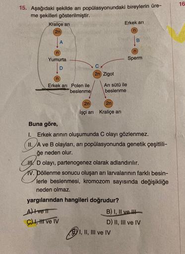 15. Aşağıdaki şekilde arı popülasyonundaki bireylerin üre-
me şekilleri gösterilmiştir.
Kraliçe arı
2n
A
Yumurta
D
n
Erkek arı Polen ile
beslenme
2n Zigot
Alvett
C) I, II ve IV
Arı sütü ile
beslenme
2n
2n
İşçi arı Kraliçe arı
Erkek arı
n
B
Buna göre,
I.__ 