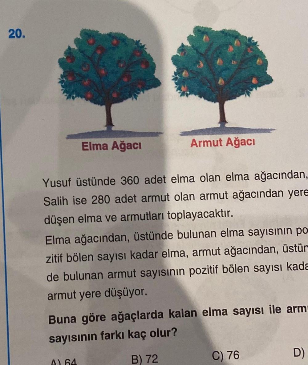 20.
Elma Ağacı
Armut Ağacı
Yusuf üstünde 360 adet elma olan elma ağacından,
Salih ise 280 adet armut olan armut ağacından yere
düşen elma ve armutları toplayacaktır.
Elma ağacından, üstünde bulunan elma sayısının po
zitif bölen sayısı kadar elma, armut ağa