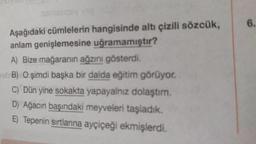 semsliqsy veg
Aşağıdaki cümlelerin hangisinde altı çizili sözcük,
anlam genişlemesine uğramamıştır?
A) Bize mağaranın ağzını gösterdi.
ob B) O şimdi başka bir dalda eğitim görüyor.
C) Dün yine sokakta yapayalnız dolaştım.
D) Ağacın başındaki meyveleri taşladık.
E) Tepenin sırtlanna ayçiçeği ekmişlerdi.
6.