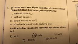 AVA
2. Bir araştırmacı aynı kişinin karaciğer hücresinin çekirdek
DNA'sı ile böbrek hücresinin çekirdek DNA'sında;
I. nükleotit dizilimi,
II. aktif gen çeşidi,
III. toplam nükleotit sayısı,
IV. pürin bazlarının pirimidin bazlarına oranı
özelliklerinden hangilerini kesinlikle aynı olarak gözlem-
ler?
A) I ve II
B) ve IV
D) I, III ve IV
C) II ve III
E) II, III ve IV
delerin d