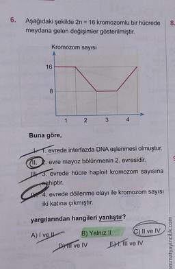 6. Aşağıdaki şekilde 2n = 16 kromozomlu bir hücrede
meydana gelen değişimler gösterilmiştir.
Kromozom sayısı
(11.
16
8
Buna göre,
2
3
evrede interfazda DNA eşlenmesi olmuştur.
evre mayoz bölünmenin 2. evresidir.
3. evrede hücre haploit kromozom sayısına
sahiptir.
4. evrede döllenme olayı ile kromozom sayısı
iki katına çıkmıştır.
yargılarından hangileri yanlıştır?
A) I ve II
B) Yalnız II
DMI ve IV
C) II ve IV
EX, III ve IV
8.
ammatyayincilik.com
S