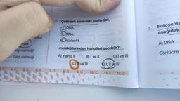 3. D
rdek
olgi cisimciği
-Golgi cisimciği
4. E
Aoful
5. B
6. A
12. Çekirdek zarındaki porlardan,
DNA,
11. RNA,
Ihükleotit algorol
7.D 8. B
plotis Jesloono
tesicol
moleküllerinden hangileri geçebilir?
A) Yalnız II
9. C
domo
D) II ve III
B) I ve Il esino C) I ve III
II
10. C
(A
jar
E) I, II ve III
11. E
12. D
3.
Fotosente
aşağıdaki
A) DNA
C) Hücre