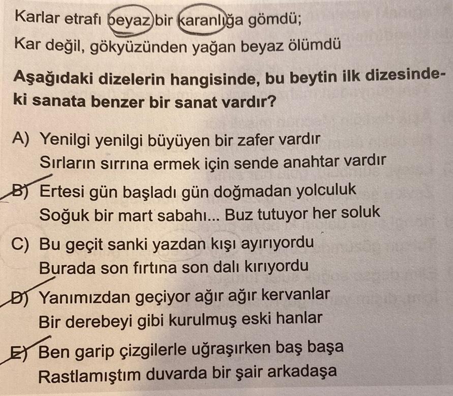 Bodringli lezbiyenlar