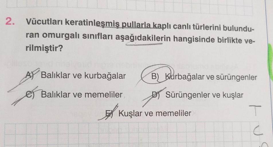 2. Vücutları keratinleşmiş pullarla kaplı canlı türlerini bulundu-
ran omurgalı sınıfları aşağıdakilerin hangisinde birlikte ve-
rilmiştir?
A Balıklar ve kurbağalar
Balıklar ve memeliler,
B) Kurbağalar ve sürüngenler
Sürüngenler ve kuşlar
Kuşlar ve memelil