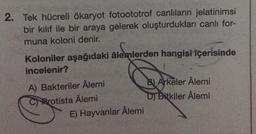 2. Tek hücreli ökaryot fotoototrof canlıların jelatinimsi
bir kılıf ile bir araya gelerek oluşturdukları canlı for-
muna koloni denir.
Koloniler aşağıdaki âlemlerden hangisi içerisinde
incelenir?
A) Bakteriler Âlemi
CProtista Âlemi
E) Hayvanlar Alemi
B) Arkeler Ålemi
D) Bitkiler Alemi