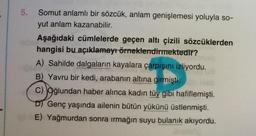 5.
Somut anlamlı bir sözcük, anlam genişlemesi yoluyla so-
yut anlam kazanabilir.
Aşağıdaki cümlelerde geçen altı çizili sözcüklerden
hangisi bu açıklamayı örneklendirmektedir?
A) Sahilde dalgaların kayalara çarpışını izliyordu.
B) Yavru bir kedi, arabanın altına girmişti.
C) Oğlundan haber alınca kadın tüy gibi hafiflemişti.
D) Genç yaşında ailenin bütün yükünü üstlenmişti.
o E) Yağmurdan sonra ırmağın suyu bulanık akıyordu.