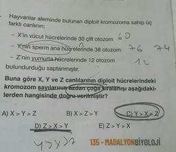 Hayvanlar aleminde bulunan diploit kromozoma sahip üç
farklı canlının;
X'in vücut hücrelerinde 30 çift otozom
60
Y'nin sperm ana hücrelerinde 38 otozom 76
12
-
-
Z'nin yumurta hücrelerinde 12 otozom
bulundurduğu saptanmıştır.
Buna göre X, Y ve Z canlılarının diploit hücrelerindeki
kromozom sayılarının azdan çoğa sıralanışı aşağıdaki-
lerden hangisinde doğru verilmiştir?
A) X> Y>Z
74
B) X>Z>Y
C)Y>X Z
D) Z>X>Y
E) Z>Y>X
>> 135-MADALYONBİYOLOJİ