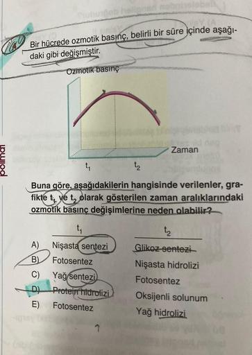 Bir hücrede ozmotik basınç, belirli bir süre içinde aşağı-
daki gibi değişmiştir.
Ozmotik basınç
A) Nişasta sentezi
B)
Fotosentez
C)
D)
E)
t₁
Buna göre, aşağıdakilerin hangisinde verilenler, gra-
fikte t ve t, olarak gösterilen zaman aralıklarındaki
ozmoti