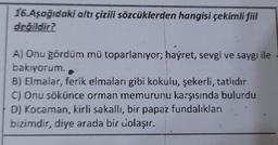 16.Aşağıdaki altı çizili sözcüklerden hangisi çekimli fiil
değildir?
A) Onu gördüm mü toparlanıyor; hayret, sevgi ve saygı ile
bakıyorum.
B) Elmalar, ferik elmaları gibi kokulu, şekerli, tatlıdır
C) Onu sökünce orman memurunu karşısında bulurdu
D) Kocaman, kirli sakallı, bir papaz fundalıkları
bizimdir, diye arada bir dolaşır.