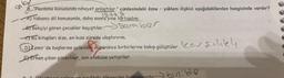 8. "Planlama konusunda nihayet anlaştılar." cümlesindeki özne - yüklem ilişkisi aşağıdakilerden hangisinde vardır?
istas
A) Yabancı dil konusunda, daha sonra yine tartışalım.
B) Bekçiyi gören çocuklar kaçıştılar.Beraber
e) Bu kitapları size, en kısa sürede ulaştırırım.
D) İzmir'de başlarına gelenleri düşününce birbirlerine bakıp gülüştüler. \car silik
E) Erken çıkan görevliler, son otobüse yetiştiler.
biride