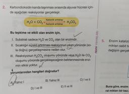 2.
Karbondioksidin kanda taşınması sırasında alyuvar hücresi için-
de aşağıdaki reaksiyonlar gerçekleşir.
H,O + CO,
Karbonik anhidraz
Karbonik anhidraz
Bu tepkime ve etkili olan enzim için,
1. Substrati sadece H₂O ve CO₂ olan bir enzimdir.
II. Sıcaklığın sürekli artırılması reaksiyonun yıkım yönünde (so-
yıkım
la doğru) gerçekleşmesine neden olur.
A) Yalnız I
III. Reaksiyonun H₂CO3 oluşumu yönünde veya H₂O ile CO₂
oluşumu yönünde gerçekleşeceğinin belirlenmesinde enzi-
min etkisi yoktur.
yorumlarından hangileri doğrudur?
D) I ve III
H₂CO3
B) Yalnız III
E) II ve III
C) I ve II
ADAY YAYINLARI
5.
Enzim kataliza
miktarı sabit tu
değişim gerçel
Buna göre, enzim
rat miktarı bir kez
