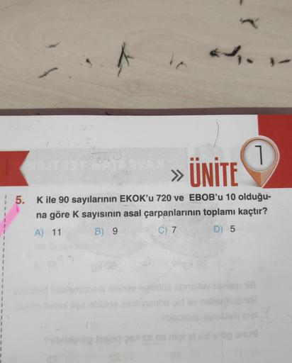 I
1
240
44.
1
» ÜNİTE
5. K ile 90 sayılarının EKOK'u 720 ve EBOB'u 10 olduğu-
na göre K sayısının asal çarpanlarının toplamı kaçtır?
A) 11
B) 9
C) 7
D) 5
blonop 1080g pails
onem neliev hgretiüx abneløyfem 118
lige oblbise isolyamhs old av