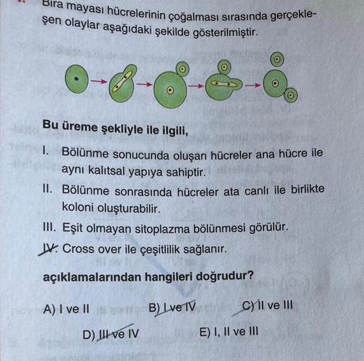 Bira mayası hücrelerinin çoğalması sırasında gerçekle-
şen olaylar aşağıdaki şekilde gösterilmiştir.
Bu üreme şekliyle ile ilgili,
1. Bölünme sonucunda oluşan hücreler ana hücre ile
aynı kalıtsal yapıya sahiptir.
II. Bölünme sonrasında hücreler ata canlı i