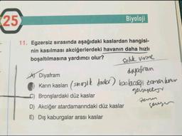 25
Biyoloji
11. Egzersiz sırasında aşağıdaki kaslardan hangisi-
nin kasılması akciğerlerdeki havanın daha hızlı
boşaltılmasına yardımcı olur?
Soluk verme
Diyafram
diyafram
Karın kasları (smalkulor) kasılacağı zaman kum
C) Bronşlardaki düz kaslar
D) Akciğer atardamarındaki düz kaslar
E) Dış kaburgalar arası kaslar
quizene
zenn
senger