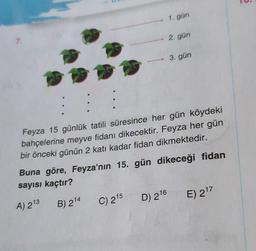 7.
→ 1. gün
C) 215
2. gün
Feyza 15 günlük tatili süresince her gün köydeki
bahçelerine meyve fidanı dikecektir. Feyza her gün
bir önceki günün 2 katı kadar fidan dikmektedir.
3. gün
Buna göre, Feyza'nın 15. gün dikeceği fidan
sayısı kaçtır?
A) 2¹3
B) 214
D) 216
E) 2¹7