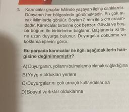 1.
Karıncalar gruplar hâlinde yaşayan ilginç canlılardır.
Dünyanın her bölgesinde görülmektedir. En çok sı-
cak iklimlerde görülür. Boyları 2 mm ile 5 cm arasın-
dadır. Karıncalar birbirine çok benzer. Gövde ve baş,
bir boğum ile birbirlerine bağlanır. Başlarında iki ta-
ne uzun duyurga bulunur. Duyurgalar dokunma ve
koklama işlevini görür.
Bu parçada karıncalar ile ilgili aşağıdakilerin han-
gisine değinilmemiştir?
A) Duyurganın, yollarını bulmalarına olanak sağladığına
B) Yaygın oldukları yerlere
C) Duyurgalarını çok amaçlı kullandıklarına
D) Sosyal varlıklar olduklarına