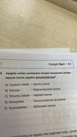 Kokpit Seri 01
8. Aşağıda verilen canlılardan hangisi karşısında verilen
eşeysiz üreme çeşidini gerçekleştirmez?
A) Çiçeksiz bitkiler - Sporla üreme
B) Solucan
- Rejenerasyonla üreme
C) Tohumlu bitkiler - Vejetatif üreme
D) Denizyıldızı 201-Tomurcuklanma ile üreme
E) Siyanobakteri - Bölünerek üreme
k
ovoniz nolyobo ilisons nolo sus
1939lhibnshapeb obn
inde fruktoz ve nişasta olan bağırsak torba, içinde
lostirilin bir