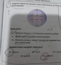 Bölünme
7. Aşağıda haploit bir hücrenin mitoz bölünmesine ait bir evre
görülmektedir.
?
Buna göre,
& Bölü
W
n=3
Bölünen hücre n = 3 kromozom sayısına sahiptir.
II. Bu evrede 6 kromozom bulunmaktadır.
III. Bölünme sonucu oluşan hücrede bir karakteri tek
gen kontrol eder.
ifadelerinden hangileri doğrudur?
A) Yalnız I
BI ve II
D) Ilve III
C) I ve III
E) Live III