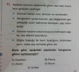 L
B
S
1
M
11. Aşağıda solunum sisteminde görev alan bazı kısım-
ların görevleri verilmiştir.
➤ Solunan havayı ısıtır, temizler ve nemlendirir.
➤
Akciğerlerin içinde bulunan, gaz değişiminin ger-
çekleştiği üzüm salkımına benzeyen yapı birim-
leridir.
➤ Solunan havanın soluk borusuna iletilmesini sağ-
lar, ses tellerini bulundurur.
➤ Göğüs boşluğu ile karın boşluğunu birbirinden
ayırır, nefes alıp vermede görev alır.
Buna göre, aşağıdaki yapılardan hangisinin
görevi verilmemiştir?
A) Diyafram
C) Alveol
E) Gırtlak
B) Plevra
D) Burun
JI