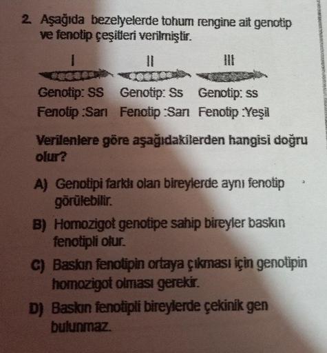 2. Aşağıda bezelyelerde tohum rengine ait genotip
ve fenotip çeşitleri verilmiştir.
I
||
w
Genotip: SS Genotip: Ss Genotip: ss
Fenotip:San Fenotip San Fenotip :Yeşil
Verilenlere göre aşağıdakilerden hangisi doğru
olur?
A) Genotipi farklı olan bireylerde ay