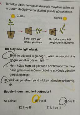 5. Bir saksı bitkisi ile yapılan deneyde meydana gelen ba-
zı durum değiştirme hareketleri şekilde gösterilmiştir.
Güneş
Saksı yere yan
olarak yatırılıyor
Bu olaylarla ilgili olarak,
I. Bitkinin gövdesi ışığa doğru, kökü ise yerçekimine
doğru yönelim göstermiştir.
A) Yalnız I
Güneş
11. Hem kökte hem de gövdede pozitif tropizma mey-
dana gelmesine rağmen birbirine zıt yönde yönelim
gerçekleşmiştir.
Bir hafta sonra kök
ve gövdenin durumu
III. Kökteki yönelimin yönü ışık kaynağından etkilenmiş-
tir.
ifadelerinden hangileri doğrudur?
D) II ve III
B) I ve II
E) I, II ve III
Cve III
