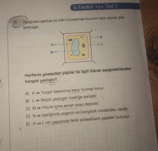 6. Fasikül «» Test 2 9. Aşağıdaki şekilde bir bitk… Biyoloji 6. Fasikül «» Test 2 9. Aşağıdaki şekilde bir bitk… Biyoloji