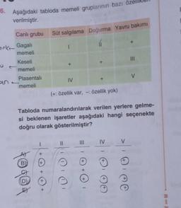 6. Aşağıdaki tabloda memeli gruplarının bazı
verilmiştir.
Canlı grubu
nk Gagali
memeli
Keseli
memeli
Plasentali
memeli
@@*
B)
Süt salgılama Doğurma Yavru bakımı
+
1
+
Tabloda numaralandırılarak verilen yerlere gelme-
si beklenen işaretler aşağıdaki hangi seçenekte
doğru olarak gösterilmiştir?
( D=
IV
(+: özellik var, -: özellik yok)
+
I
IV
V
V