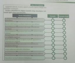 Ders İçi Çalışma
Aşağıdaki tabloda, insanın coğrafi ortamda yapmış olduğu bazı
etkinlikler verilmiştir.
Verilen etkinliklerin doğaya uyumlu olup olmadığını tab-
lodaki ilgili alana işaretleyiniz.
İnsan Etkinlikleri
Su ihtiyacının karşılanması için yer altı sularının aşırı
kullanılması
Akarsu vadisi boyunca yerleşim alanlarının inşa edilmesi
Enerji ihtiyacının karşılanması için rüzgâr santrallerinin
kurulması
Tarım alanlarının oluşturulması için ormanlık alanların tahrip
edilmesi
Tarımsal ilaçların aşırı kullanılması sonucunda toprağın kimya-
sal özelliğinin değişmesi
Bitki örtüsünden yoksun ve eğimli arazilerde ağaçlandırma
çalışmalarının yapılması
Tarımsal ürünün hasadı sonrasında ürün kalıntılarının
(anızların) yakılması
Sanayi atıklarının akarsulara aktarılması
Kıyı boyunca turizm amaçlı betonarme yapıların inşa edilmesi
Akarsuların tarımsal sulamada kullanılması
Uyumlu
SISTEMLER
Uyumlu Değil