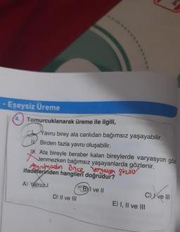 Eşeysiz Üreme
4. Tomurcuklanarak üreme ile ilgili,
Yavru birey ata canlıdan bağımsız yaşayabilir.
Birden fazla yavru oluşabilir.
IM. Ata bireyle beraber kalan bireylerde varyasyon göz
Jenmezken bağımsız yaşayanlarda gözlenir.
Ayrılmadan önce voyayar gözdu
ifadelerinden hangileri doğrudur?
A) Yalnızl
BI ve II
D) II ve III
C) ve III
pro
E) I, II ve III