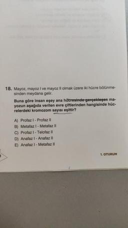 18. Mayoz, mayoz I ve mayoz Il olmak üzere iki hücre bölünme-
sinden meydana gelir.
Buna göre insan eşey ana hücresinde gerçekleşen ma-
yozun aşağıda verilen evre çiftlerinden hangisinde hüc-
relerdeki kromozom sayısı eşittir?
A) Profaz I-Profaz II
B) Metafaz 1- Metafaz II
C) Profaz I - Telofaz II
D) Anafaz I- Anafaz II
E) Anafaz I - Metafaz II
1. OTURUM