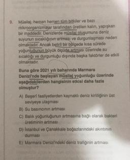 9. Müsilaj, hemen hemen tüm bitkiler ve bazı
mikroorganizmalar tarafından üretilen kalın, yapışkan
bir maddedir. Denizlerde müsilai oluşumuna deniz
suyunun sıcaklığının artması ve durgunlaşması neden
olmaktadır. Ancak belirli bir bölgede kısa sürede
yoğunluğunun büyük ölçüde artması üzerinde su
sıcaklığı ve durgunluğu dışında başka faktörler de etkili
olmaktadır.
Buna göre 2021 yılı baharında Marmara
Denizi'nde başlayan müsilaj yoğunluğu üzerinde
aşağıdakilerden hangisinin etkisi daha fazla
olmuştur?
A) Beşerî faaliyetlerden kaynaklı deniz kirliliğinin üst
seviyeye ulaşması
B) Su basıncının artması
C) Balık yoğunluğunun artmasına bağlı olarak bakteri
üretiminin artması
D) İstanbul ve Çanakkale boğazlarındaki akıntının
durması
E) Marmara Denizi'ndeki deniz trafiğinin artması