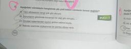 4.
1721
uri kurtarıcı diye kabul etmişlerdi
Aşağıdaki cümlelerin hangisinde altı çizili bölüm cümlenin öznesi değildir?
A) Yeni elbisesinin rengi çok göz alıcıydı.
B) Sorunlarım gözümde kocaman bir dağ gibi olmuştu. -
C) Elindeki kalemlerden üçünü gizlice cebine koydu.
D) Baloda üzerinde mükemmel bir pembe elbise vardı.
İPUCU - 1
Aşağıc
dedir?
A) Adır
B) Alt ka
C) Her
D) Başa