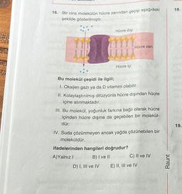 16. Bir cins molekülün hücre zarından geçişi aşağıdaki
şekilde gösterilmiştir.
co Joco
cont you
A)Yalnız I
Hücre dişi
00
D) I, III ve IV
Hücre içi
Bu molekül çeşidi ile ilgili;
1. Oksijen gazı ya da D vitamini olabilir.
II. Kolaylaştırılmış difüzyonla hücre dışından hücre
içine alınmaktadır.
III. Bu molekül, yoğunluk farkına bağlı olarak hücre
içinden hücre dışına da geçebilen bir molekül-
dür.
IV. Suda çözünmeyen ancak yağda çözünebilen bir
moleküldür.
ifadelerinden hangileri doğrudur?
B) I ve II
Hücre zarı
C) II ve IV
E) II, III ve IV
Raunt
18.
19.