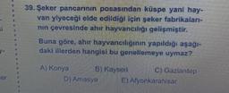 39. Şeker pancarının posasından küspe yani hay-
van yiyeceği elde edildiği için seker fabrikalanı-
nın çevresinde ahır hayvancılığı gelişmiştir.
Buna göre, ahır hayvancılığının yapıldığı aşağı-
daki illerden hangisi bu genellemeye uymaz?
A) Konya
B) Kayser