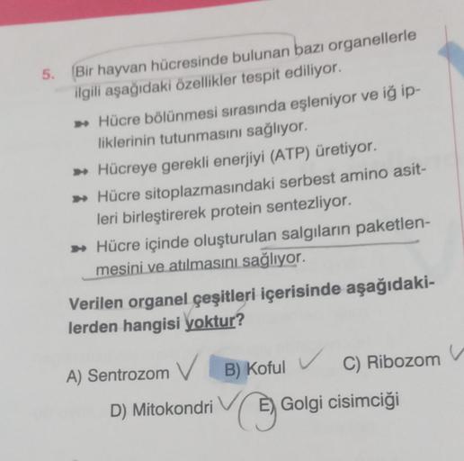 5. (Bir hayvan hücresinde bulunan bazı organellerle… Biyoloji 5. (Bir hayvan hücresinde bulunan bazı organellerle… Biyoloji