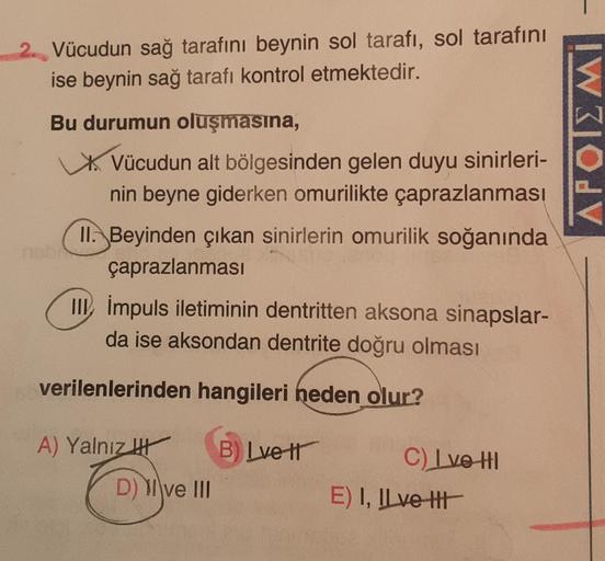 Vücudun sağ tarafını beynin sol tarafı, sol tarafını
ise beynin sağ tarafı kontrol etmektedir.
Bu durumun oluşmasına,
XVücudun alt bölgesinden gelen duyu sinirleri-
nin beyne giderken omurilikte çaprazlanması
II. Beyinden çıkan sinirlerin omurilik soğanınd
