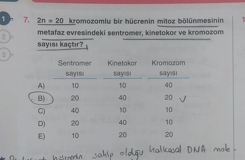 1
2
3
3
7. 2n = 20 kromozomlu bir hücrenin mitoz bölünmesinin
metafaz evresindeki sentromer, kinetokor ve kromozom
sayısı kaçtır?
A)
B)
C)
D)
E)
Kromozom
sayısı
40
20 V
10
10
20
hirrenin sahip olduğu halkasal DNA mole
Sentromer
sayısı
10
20
40
20
10
Kineto