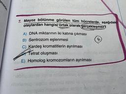 mede
7. Mayoz bölünme görülen tüm hücrelerde, aşağıdaki
olaylardan hangisi ortak olarak gerçekleşmez?
A) DNA miktarının iki katına çıkması
B) Sentrozom eşlenmesi
C) Kardeş kromatitlerin ayrılması
Tetrat
Tetrat oluşması
E) Homolog kromozomların ayrılması