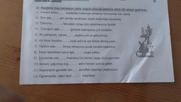 2- Aşağıda boş bırakılan yere uygun olacak şekilde sifat-fiil ekleri getiriniz.
1) Annem kirlen...... kıyafetleri makineye atmamız konusunda bizi uyardı.
2) Son yaz........ şiiri okurlar tarafından büyük beğeniyle karşılandı.
3) Ödenme........... faturadan dolayı dün elektriklerimiz kesildi.
4) Çocuğun ağla........... gözlerle bakmasına çok üzüldüm.
5) Bu şampuan yıpran........ saçlara çok iyi geliyormuş.
6) Az önce havalan........ uçak acil iniş için tekrar dönüş yaptı.
7) Yardım ede....... kimse olmayınca çuvalı kendim kaldırdım.
8) Insan istedikten sonra aşıl.......... engel yoktur.
9) Çevremde oku....... insanlara her zaman saygı duymuşumdur.
10) Annem çağırınca koş.......... adım hemen yanına gittim.
11) Alışverişimi genelde tanı...... esnaftan yapmayı yeğliyorum.
12) Öğretmenler, elleri öpül.......... insanladır.