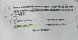 Q
3)
İnsan vücudunda rejenerasyon yeteneği en az olan
doku çeşitleri aşağıdakilerden hangisinde birlikte ve-
rilmiştir?
A) Epitel ve Sinir V
C) Sinir ve Kas
-B) Kas ve Epitet
-D) Kemik ve Sinir
E)Kas ve Bağ
5