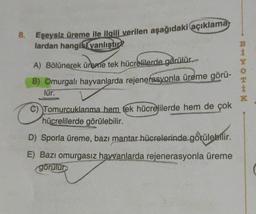 8. Eşeysiz üreme ile ilgili verilen aşağıdaki açıklama
lardan hangisi yanlıştır?
A) Bölünerek üreme tek hücrelilerde görülür.
B) Omurgalı hayvanlarda rejenerasyonla üreme görü-
lür.
Tomurcuklanma hem, tek hücrelilerde hem de çok
hücrelilerde görülebilir.
D) Sporla üreme, bazı mantar hücrelerinde görülebilir.
E) Bazı omurgasız hayvanlarda rejenerasyonla üreme
görülür
RHNOK**