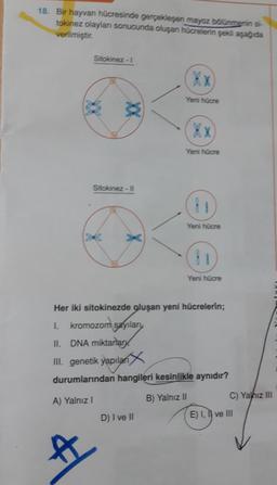 18. Bir hayvan hücresinde gerçekleşen mayoz bölünmenin si-
tokinez olayları sonucunda oluşan hücrelerin şekli aşağıda
verilmiştir.
Sitokinez -1
M
XX
Sitokinez - II
Yeni hücre
D) I ve II
XX
Yeni hücre
11
Yeni hücre
Yeni hücre
Her iki sitokinezde oluşan yeni hücrelerin;
1. kromozom sayılary
II. DNA miktarlary
III. genetik yapıları X
durumlarından hangileri kesinlikle aynıdır?
A) Yalnız I
B) Yalnız II
C) Yalnız III
E) I, II ve III