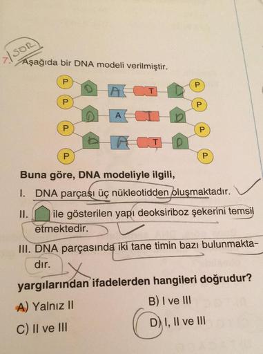 >/ SOR
Aşağıda bir DNA modeli verilmiştir.
P
P
P
ACT
ACI
DACTP
O
P
P
P
P
Buna göre, DNA modeliyle ilgili,
I. DNA parçası üç nükleotidden oluşmaktadır.
II.
ile gösterilen yapı deoksiriboz şekerini temsil
etmektedir.
III. DNA parçasında iki tane timin bazı b