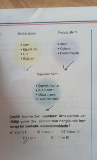 7.
Bitkiler âlemi
• Çam
• Eğrelti otu
• Gül
● Buğday
K
Protista âlemi
• Amip
Öglenal
• Paramesyum
Mantarlar âlemi
• Şapkalı mantar
• Küf mantarı
●
Maya mantarı
• Civik mantarlar
D) I ve II
Çeşitli âlemlerdeki canlıların örneklerinin ve-
rildiği yukarıdaki