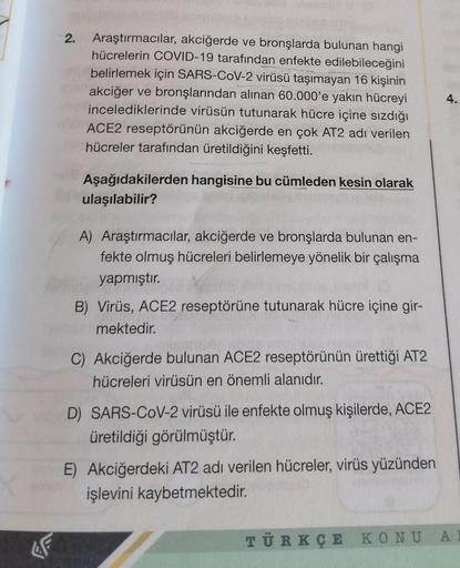 4F
2. Araştırmacılar, akciğerde ve bronşlarda bulunan hangi
hücrelerin COVID-19 tarafından enfekte edilebileceğini
belirlemek için SARS-CoV-2 virüsü taşımayan 16 kişinin
akciğer ve bronşlarından alınan 60.000'e yakın hücreyi
incelediklerinde virüsün tutuna