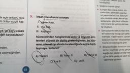 da açık ve koyu renk
-n dolayı çizgili kas-
çık ve koyu renkli
den kaynaklanır?
erden.
gi cisimciğinden.
n.
61
5. İnsan yücudunda bulunan; ois parisies fol
1. iskelet kası,
II. düz kas,
III. kalp kası
hücrelerinden hangilerinde aktin ve miyozin pro-
teinleri düzenli bir diziliş gösterdiğinden, bu hüc-
reler mikroskop altında incelendiğinde enine bant-
laşmaya rastlanır?
A) Yalnız I
B) Yalnız II
D) ve Il
C) Yalnız III
E) I ve III
Rasılma gücü da-
ha düşüktür.
İsteğimiz dışında çalışır.
iç organ kası olarak bilinir. Vü-
cudun boru şeklindeki organları-
nın yapısında bulunur. Solunum
yolu, sindirim kanalı, atar ve top-
lardamarlar gibi vücut bölümle-
rinin önemli bir kısmını düz kas-
lar oluşturur.
Sarkoplazmik retikulumları iske-
let kaslarında olduğu gibi geliş-
memiştir. Kasılmalarını uyaram
kalsiyum iyonları sitoplazmaya
hücre zarı aracılığıyla girer.
Sitoplazmadaki kalsiyum iyon
larının yayılması yavaş gerçe
leştiğinden iskelet ve kalp kas
göre daha yavaş ve uzun sü
kasılmalar gösterir.