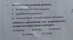 6.
Mitoz bölünme sırasında gözlenen;
iki çekirdekli bir hücre oluşması,
iğ ipliklerinin kaybolması,
kromozomların, kromatin ipliklere dönüşmesi
olaylarının gerçekleştiği evre aşağıdakilerden
hangisinde doğru olarak verilmiştir?
A) interfaz
B) Profaz
C) Metafaz
D) Anafaz
E) Telofaz