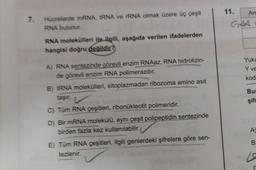 7. Hücrelerde mRNA, tRNA ve rRNA olmak üzere üç çeşit
RNA bulunur.
RNA molekülleri ile ilgili, aşağıda verilen ifadelerden
hangisi doğru değildir?
A) RNA sentezinde görevli enzim RNAaz, RNA hidrolizin-
de görevli enzim RNA polimerazdır.
B) tRNA molekülleri, sitoplazmadan ribozoma amino asit
taşır.
C) Tüm RNA çeşitleri, ribonukleotit polimeridir.
D) Bir mRNA molekülü, aynı çeşit polipeptidin sentezinde
birden fazla kez kullanılabilir.
E) Tüm RNA çeşitleri, ilgili genlerdeki şifrelere göre sen-
tezlenir.
11.
Am
GAA
Yuka
Y ve
kod
Bur
şif
A)
B
La
r